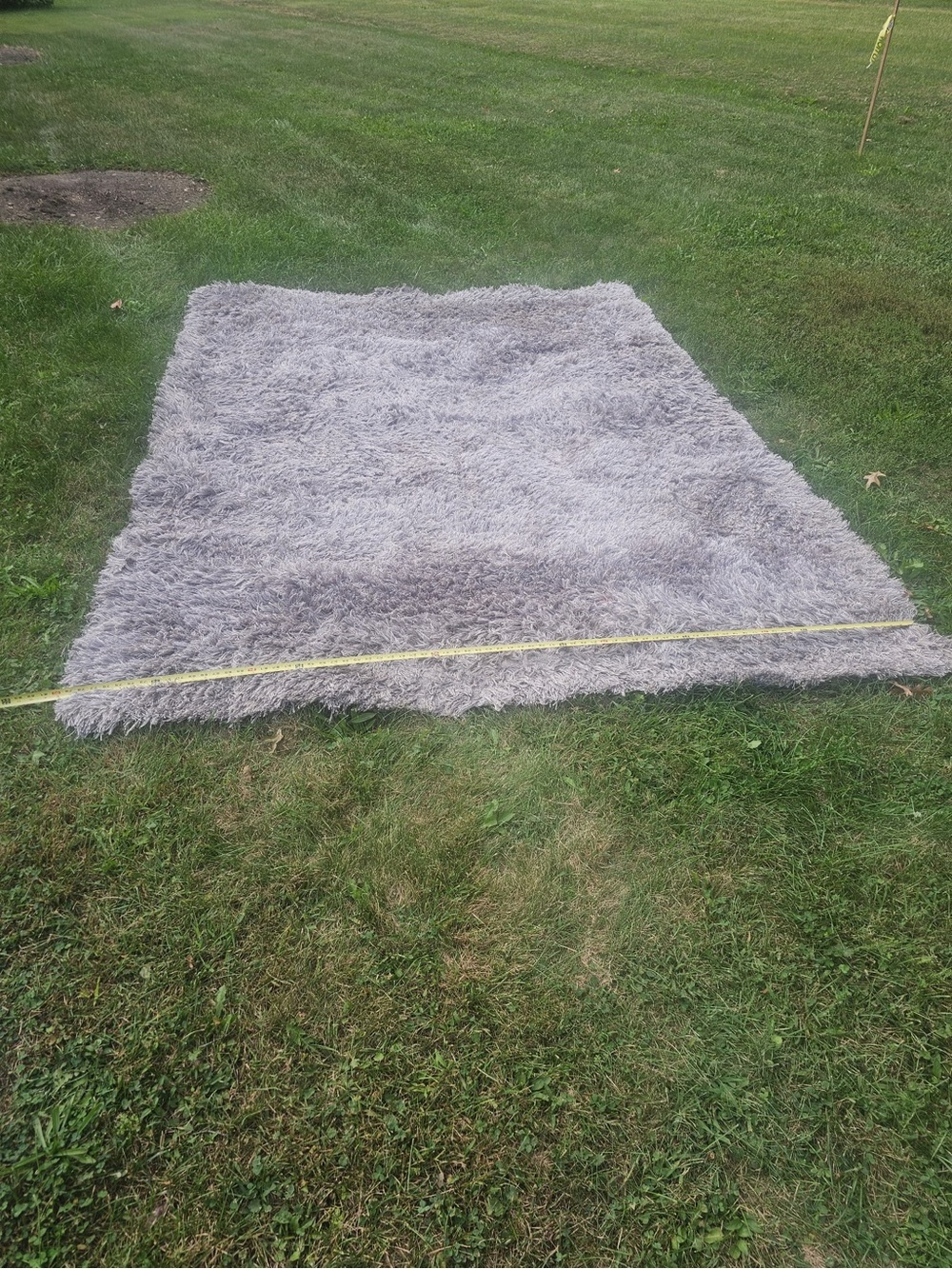 Plush Gray Shag Area Rug - Soft Home Accent